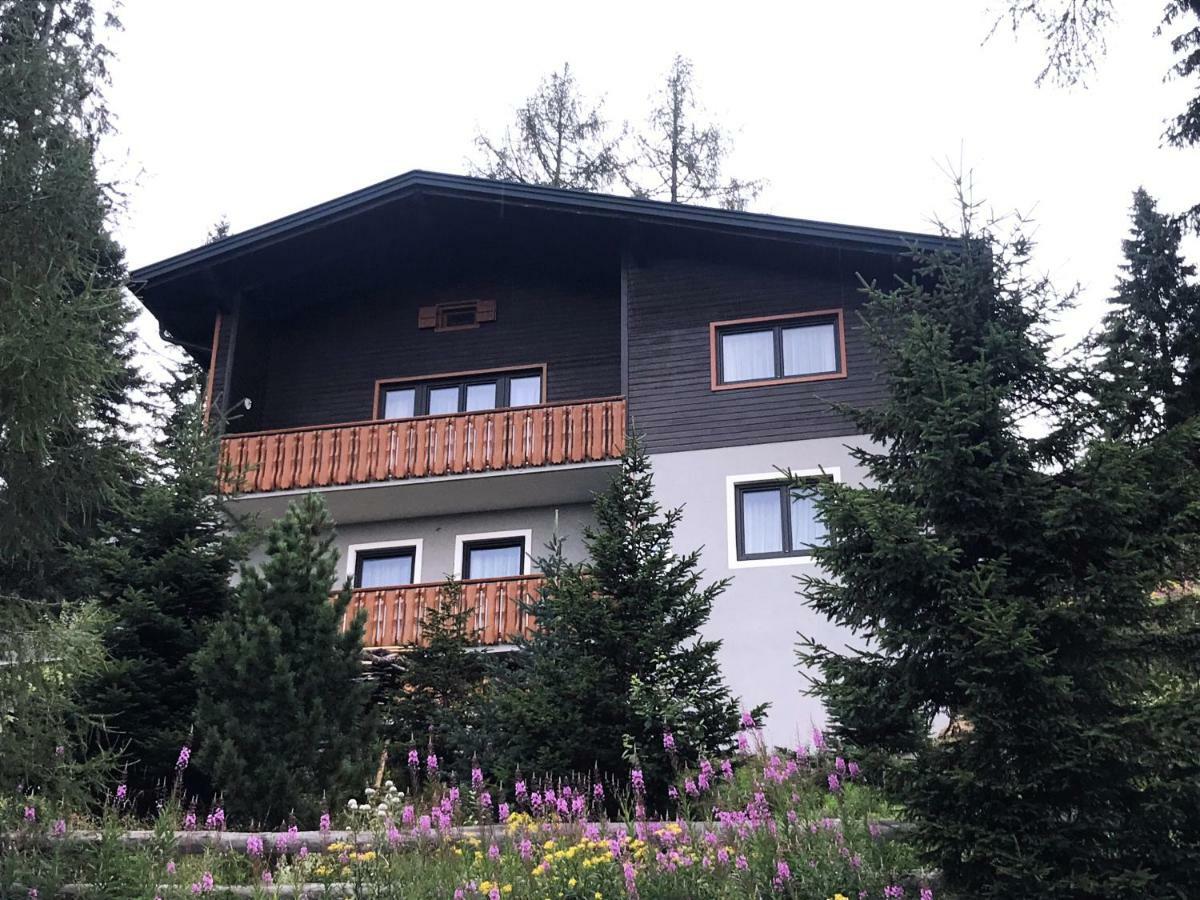 Ferienhaus Bergfee Klippitztorl Luaran gambar