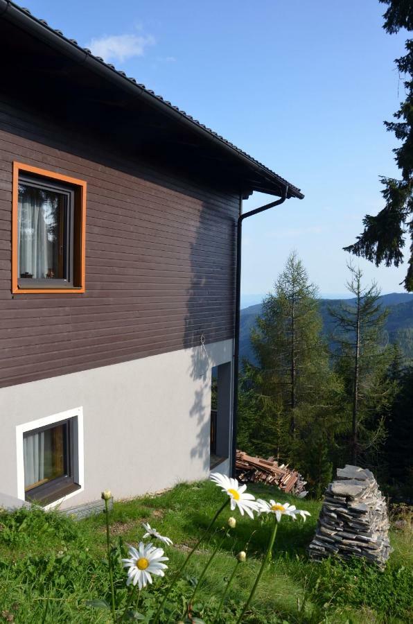 Ferienhaus Bergfee Klippitztorl Luaran gambar